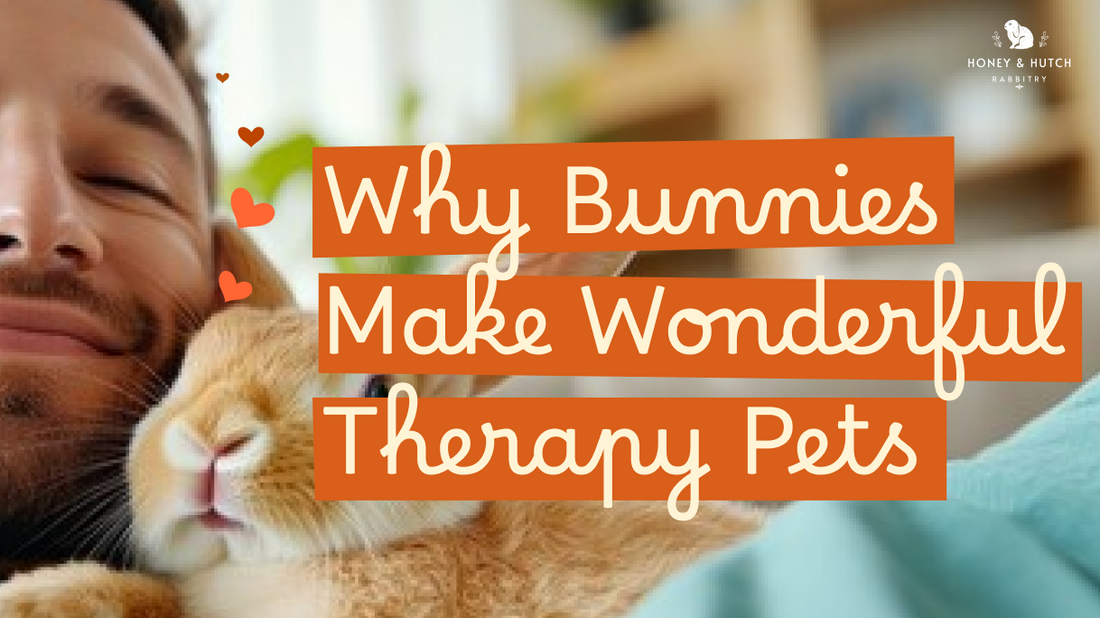 Why Bunnies Make Wonderful Therapy Pets